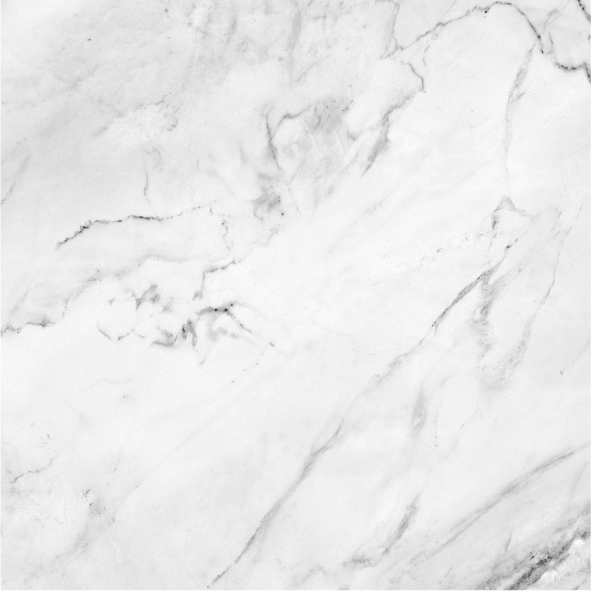 carrara_1_500x500