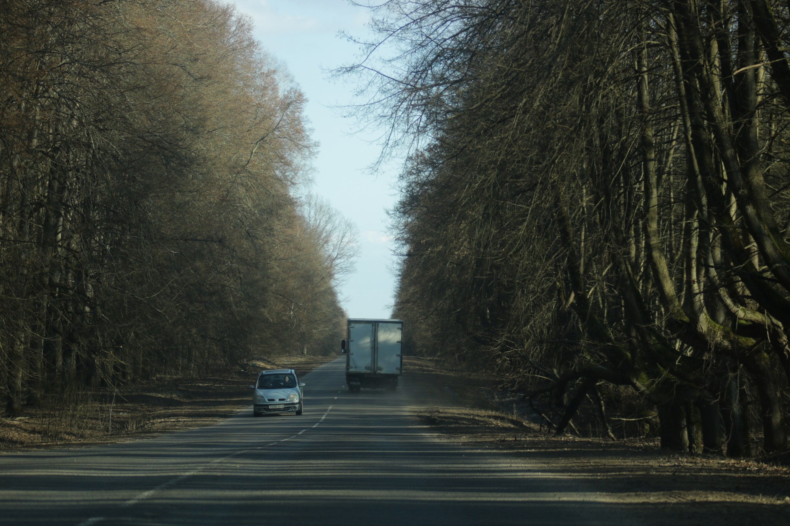 photo_2026-03-21_09-24-10
