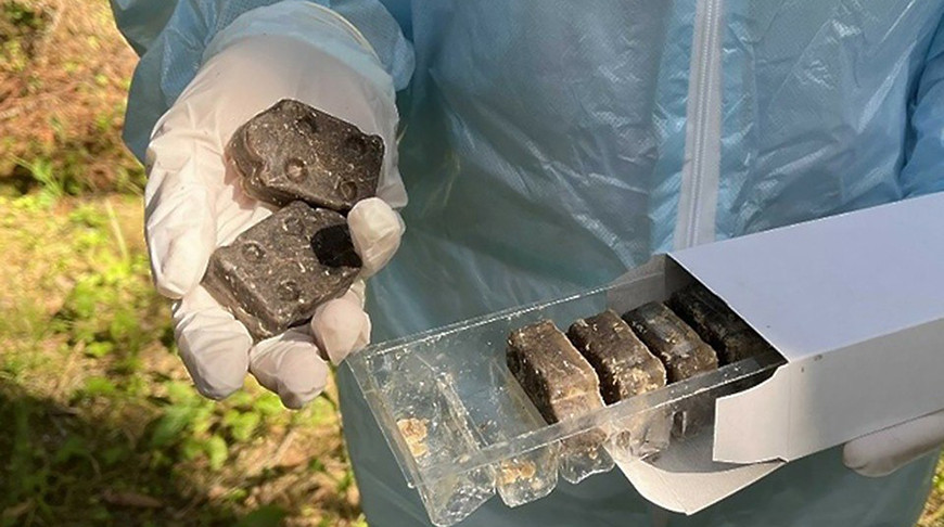 Минсельхозпрод запускает осеннюю кампанию по борьбе с бешенством: как будут вакцинировать диких животных
